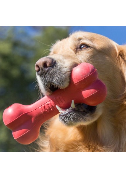 Kırmızı Kauçuk Köpek Kemik Oyuncağı S 13,5cm