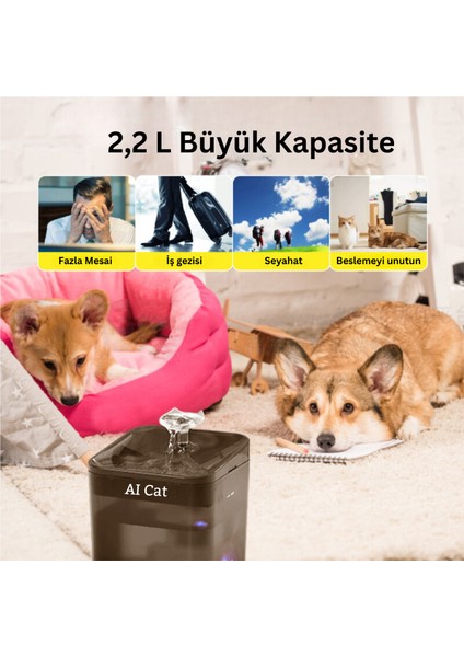 Aı Cat Akıllı Kedi Köpek Su Şelalesi Su Pınarı Su Sebili Beta - Tuya App Uygulama-Wifi - Uv Otomatik Su Temizleme