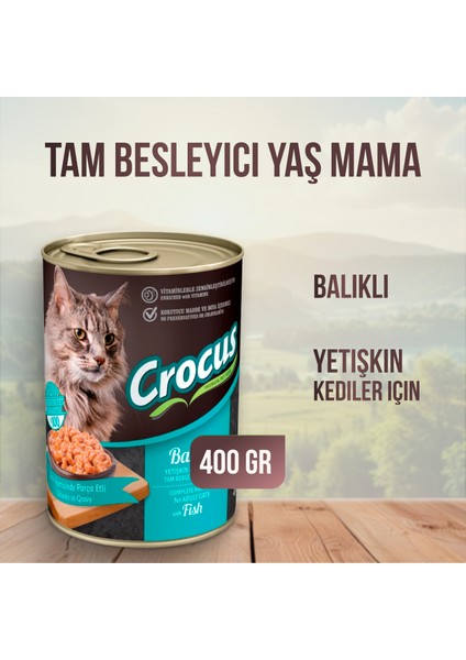 Balıklı Yetişkin Kedi Yaş Maması 400 G