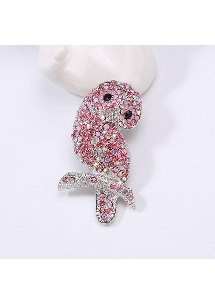 Şal Iğneleri, Baykuş Broşları, Çok Yönlü Paltolar, Iğneler, Aksesuarlar (Yurt Dışından)