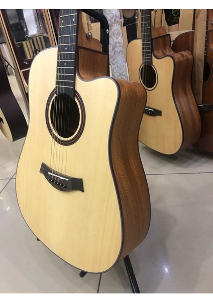 PK10002EQ Elektro Akustik Gitar