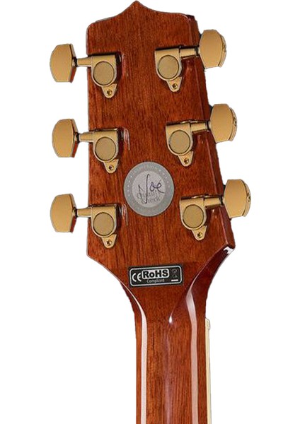 GN51CE-BSB Elektro Akustik Gitar indirimleri