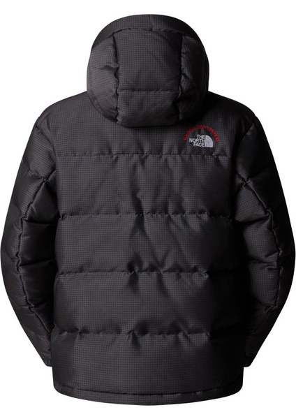 Erkek Hmlyn 30 Annıversary Parka NF0A88XE1OA1