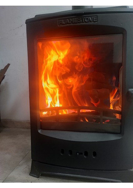 FS-201 Lodi Tek Camlı Şömine Soba Füme