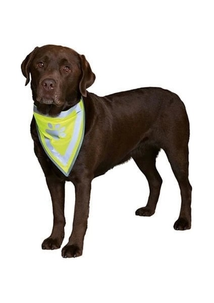 Köpek Bandanalı Tasma Xlarge 42-60 Cm
