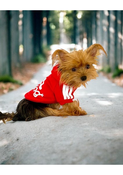 Red Adidog Kapşonlu Sweatshirt Köpek Kazağı