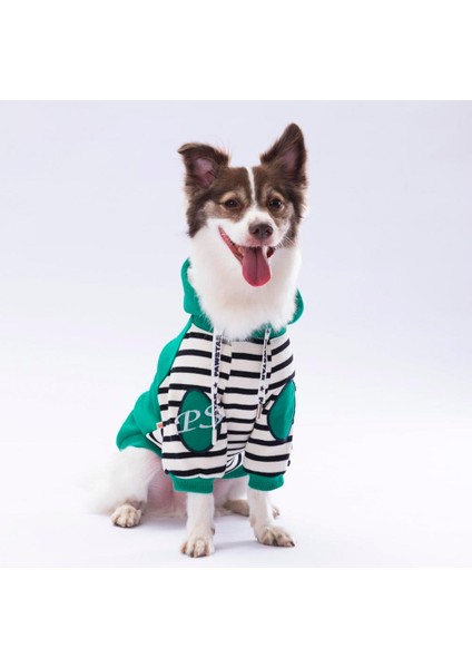 Turkuaz Lucky Club Polarlı Küçük Irk Köpek Sweatshirtü fırsatları