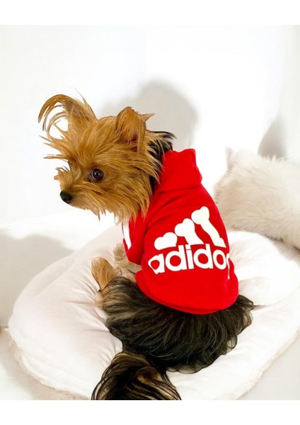 Red Adidog Kapşonlu Sweatshirt Köpek Kazağı fiyatları