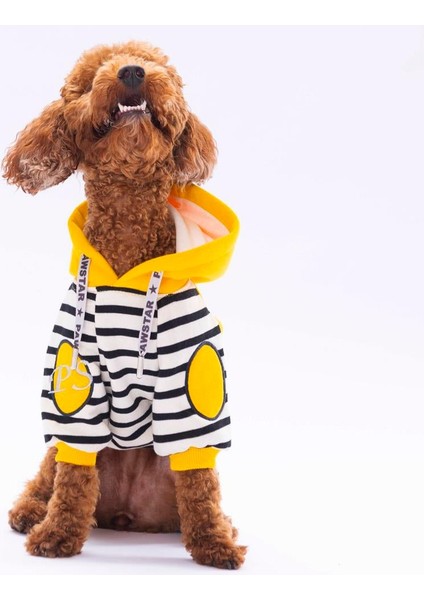 Sarı Lucky Club Polarlı Küçük Irk Köpek Sweatshirtü modelleri