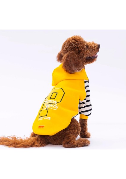 Sarı Lucky Club Polarlı Küçük Irk Köpek Sweatshirtü
