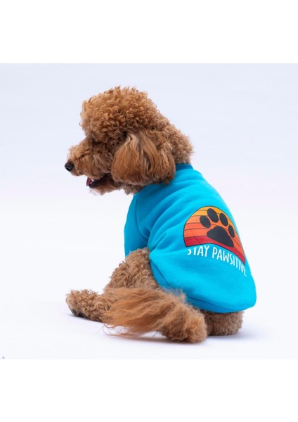 Turkuaz Carmel Polarlı Küçük Irk Köpek Sweatshirtü