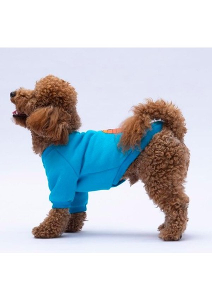 Turkuaz Carmel Polarlı Küçük Irk Köpek Sweatshirtü fiyatları