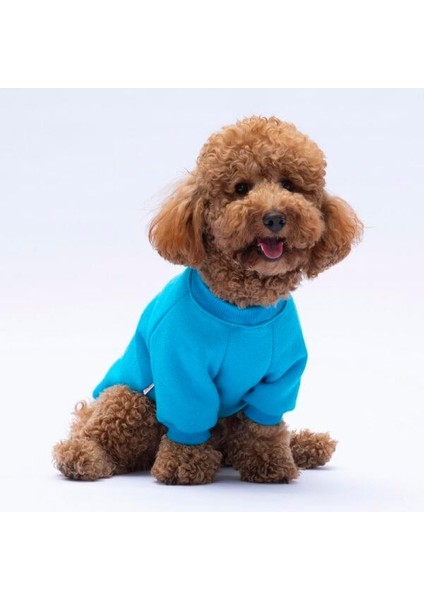 Turkuaz Carmel Polarlı Küçük Irk Köpek Sweatshirtü fırsatları