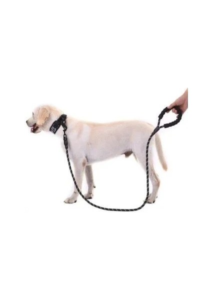 Reflektörlü Köpek Tasması 130 cm