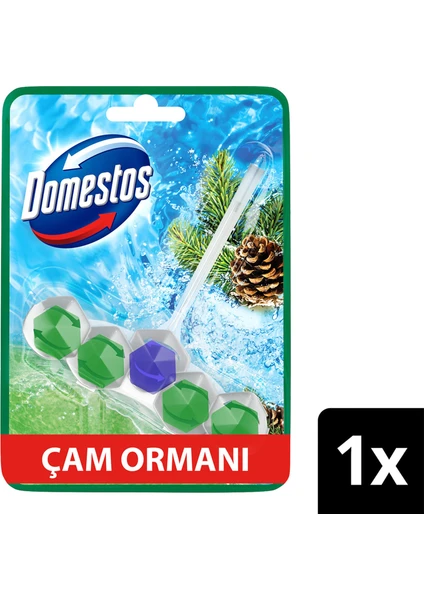 Tuvalet Bloğu Çam Ormanı 50 G