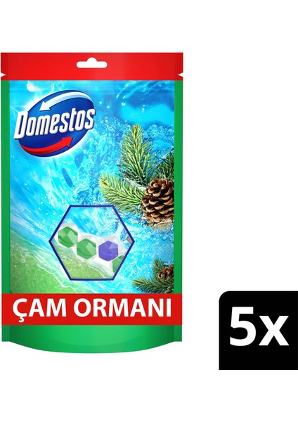 Tuvalet Bloğu Çam Ormanı 5'Li Güç 250 G