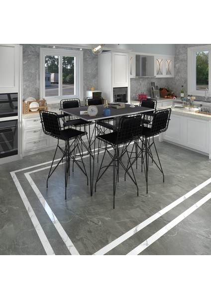 Knsz Masa Sandalye Takımı HEM105ZENGIN Grisyh 130*090 6 Sandalye Syhsyh Kolçaklı Sırt Minderli