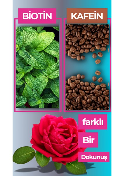 Biberiye yağı serumu Besleyici Dökülme Önleyici Saç Uzatma ve Çıkarmaya Gürleştirmeye Yardımcı Sakal Kafein ( Saf biberiye suyu hediye ) fırsatları