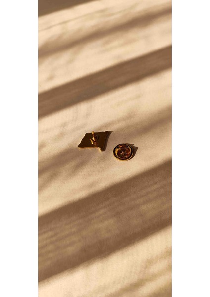 Bayrak Rozet modelleri