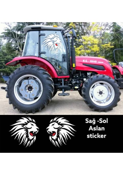 Aslan Sağ & Sol Çift Kapı Araba, Oto, Kamyon, Traktör Sticker 2 Adet