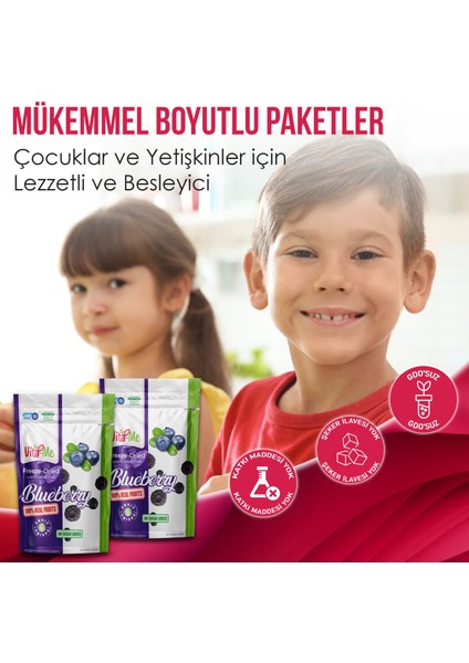 Freeze Dried Blueberry 20 gr Dondurularak Kurutulmuş Çıtır Yaban Mersini Atıştırmalık 5 Adet modelleri