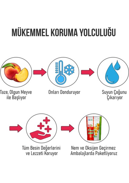 Freeze Dried Peach 20 gr Dondurularak Kurutulmuş Çıtır Şeftali Atıştırmalık 10 Adet indirimleri