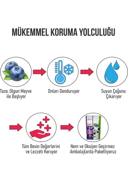 Freeze Dried Blueberry 20 Gram - Dondurularak Kurutulmuş Çıtır Yaban Mersini Atıştırmalık 3 Adet indirimleri
