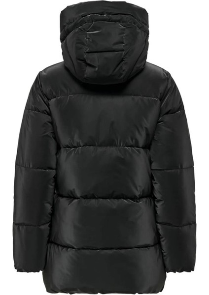 Kadın Kaban fiyatları