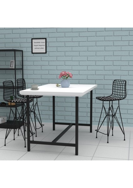 Knsz orta boy tel bar sandalyesi 1 li mağrur syhviona 65 cm oturma yüksekliği mutfak bahçe cafe ofis modelleri