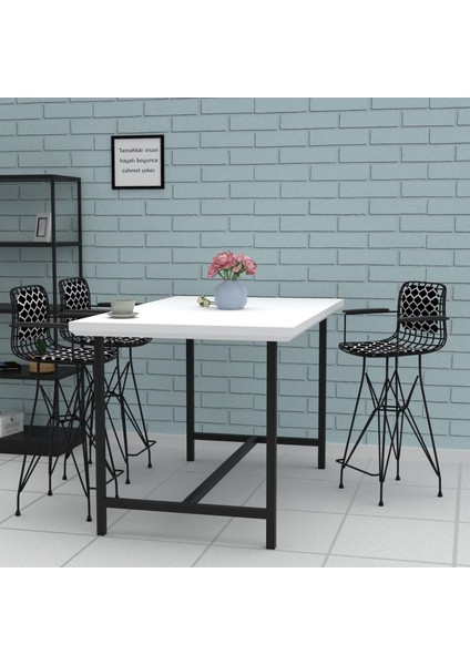 Knsz orta boy tel bar sandalyesi 1 li mağrur syhviona kolçaklı sırt minderli 65 cm oturma yüksekliği mutfak bahçe cafe ofis modelleri