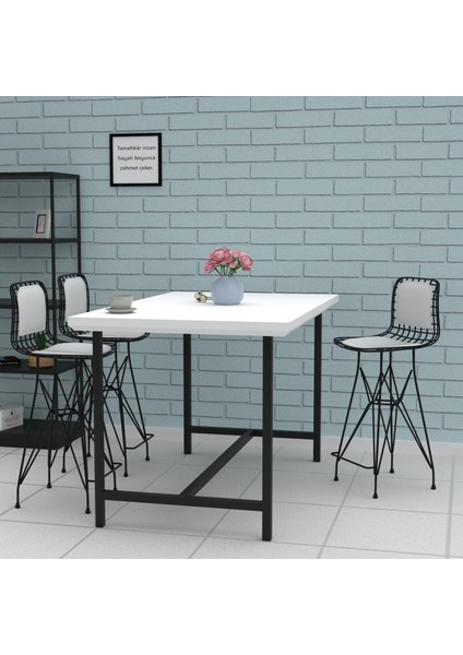 Knsz orta boy tel bar sandalyesi 1 li mağrur syhbyz sırt minderli 65 cm oturma yüksekliği mutfak bahçe cafe ofis modelleri