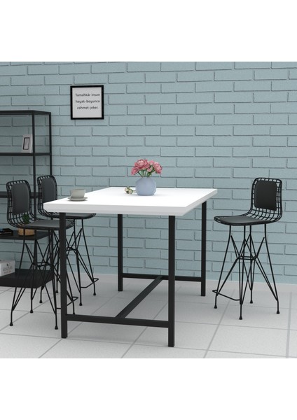 Knsz orta boy tel bar sandalyesi 1 li mağrur syhsyh sırt minderli 65 cm oturma yüksekliği mutfak bahçe cafe ofis