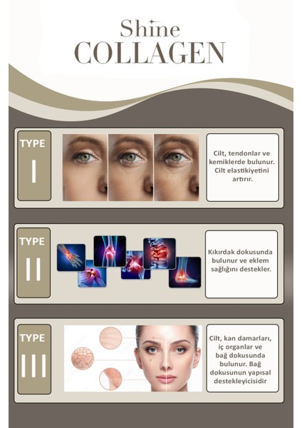 Doğal Tip 1/2/3 Hidrolize Toz Collagen Diyet Takviyesi 500GR (50 Günlük Kolajen)