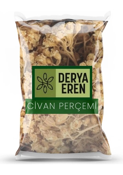 Derya Eren Civan Perçemi (Achillea Millefolium) 100G