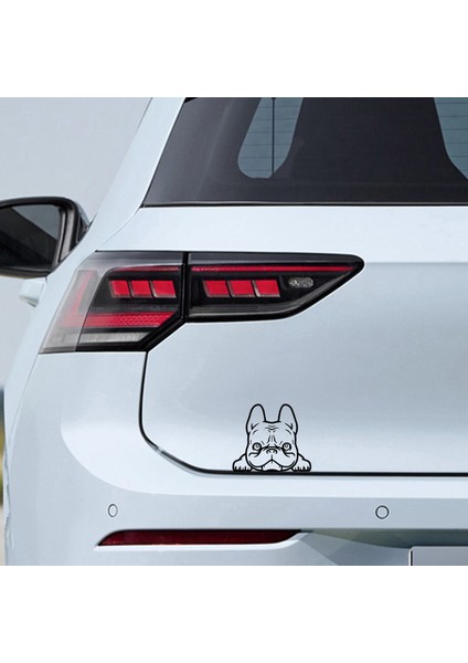Bagajdan Bakan Köpek Sticker - Oto Sticker - Araba Sticker - Araç Sticker