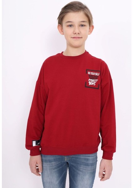 Erkek Çocuk Baskılı Sweatshirt fiyatları
