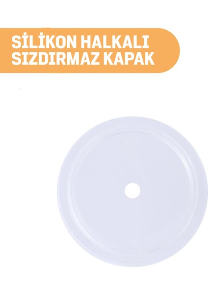 Sanrio Lisanslı Çift Cidarlı Pipetli Plastik Şişe (800ML) - Little Twin Stars