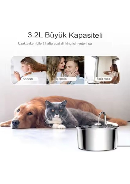 3.2 L 108 Oz Paslanmaz Çelik Büyük Metal Kedi Köpek Için Otomatik Su Pınarı Su Çeşmesi Su Sebili