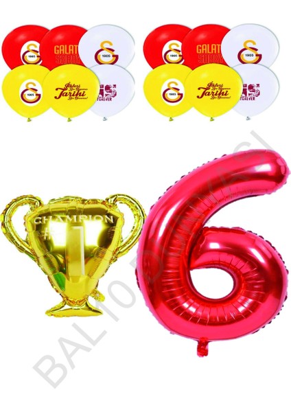 Galatasaray Sarı Kırmızı Doğum Günü Konsepti Yaş 6