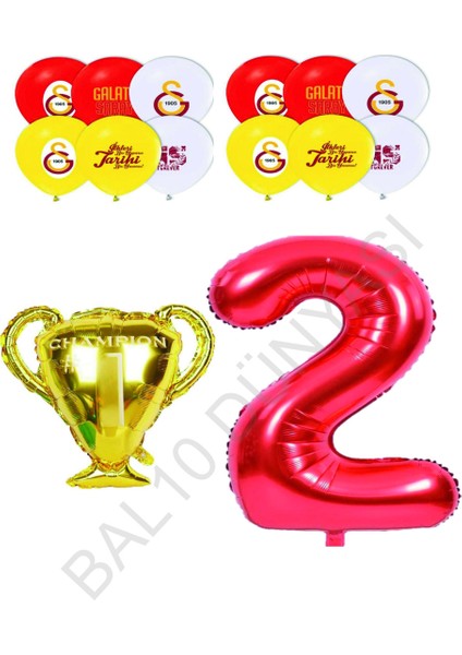 Galatasaray Sarı Kırmızı Doğum Günü Konsepti Yaş 2