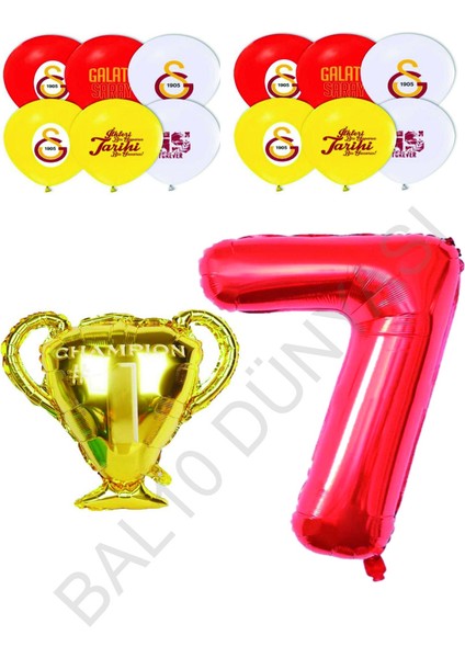 Galatasaray Sarı Kırmızı Doğum Günü Konsepti Yaş 7