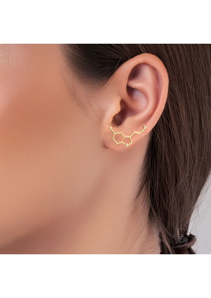 Serotonin Mutluluk Hormonu Altın Kaplama Gümüş Küpe