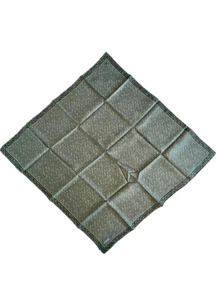 Armine Ipek Eşarp 2025 Kış - 9230-81 Twill