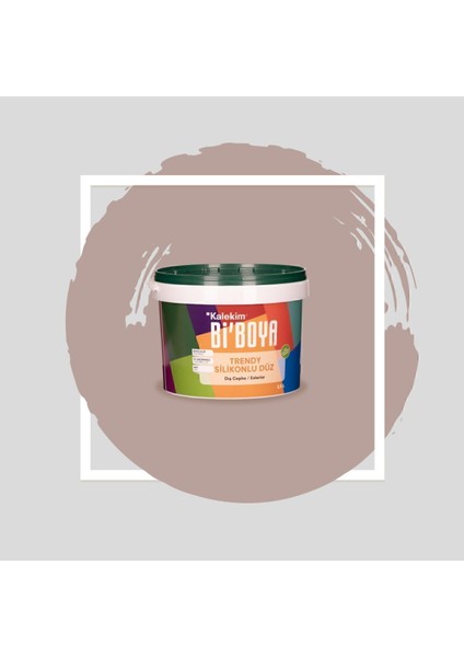Silikonlu Dış Cephe Boyası 2.5 Lt 4481