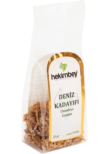 Deniz Kadayıfı 20 gr