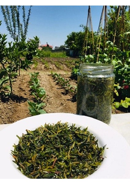 Doğal Salamura Zahter 580 gr fiyatları