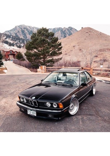 Bmw Bagaj Amortisörü Arka-Üst Kapak E53 X5 530N 535MM REF:8108418