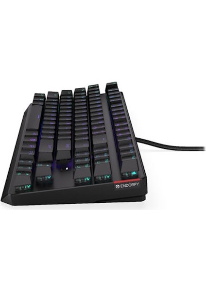 Thock Tkl Kailh Red Switch Rgb Türkçe Mekanik Kablolu Siyah Gaming Klavye (EY5A003)