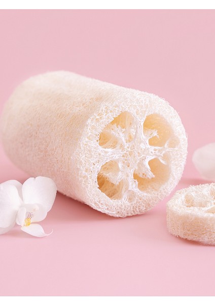 Doğal Kabak Lifi - Banyo veya Mutfak Lifi - 12 cm modelleri