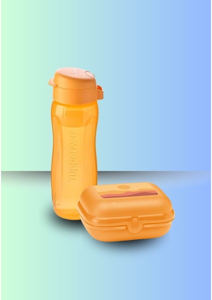 Eco Şişe ve Istiridye Saklama Kabı